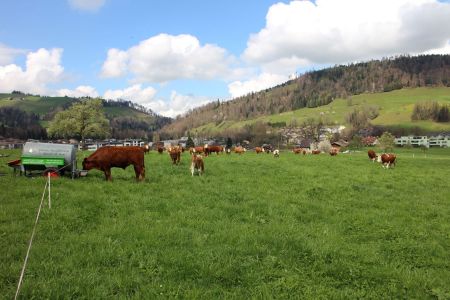 IMG_9399 verkleinert 1. Weide mit Renggloch.JPG